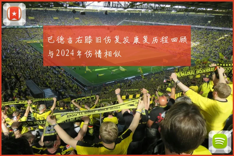 巴德吉右膝旧伤复发康复历程回顾与2024年伤情相似